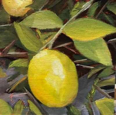 Lemon Tree